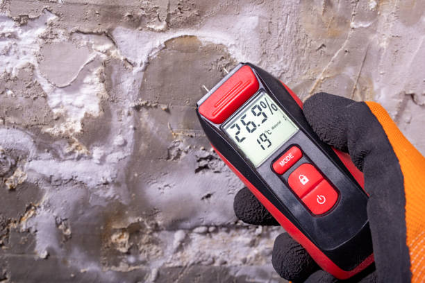 Best Commercial Mold Removal  in Victorville, CA