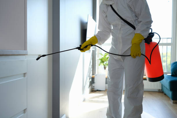 Best Office Mold Removal Services  in Victorville, CA