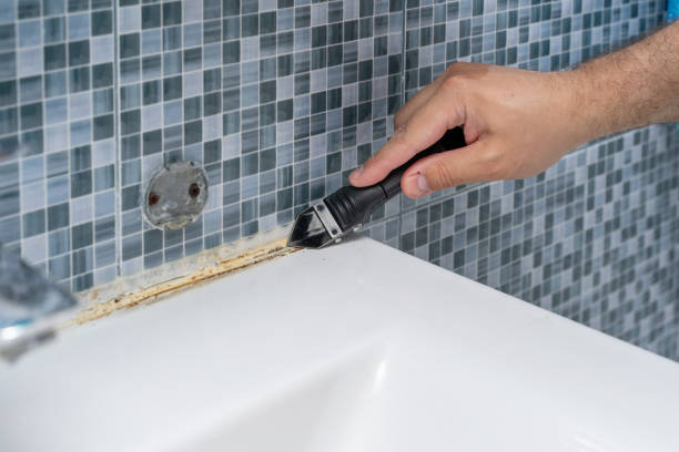 Best Toxic Mold Removal  in Victorville, CA