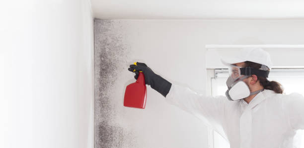 Best Mold Cleaning Services  in Victorville, CA