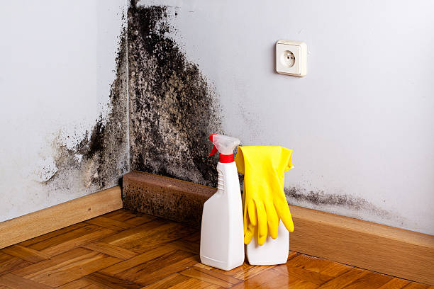 Best Mold Testing  in Victorville, CA